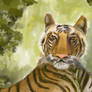 Portrait of a tiger