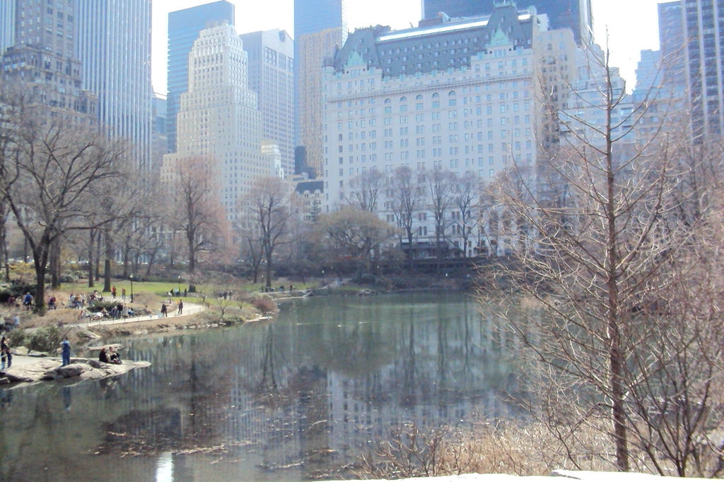 Central park