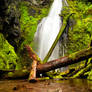 Lower Trestle Creek Falls