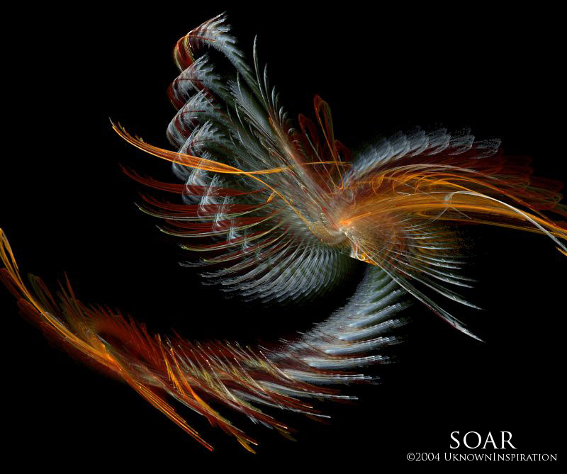 Soar