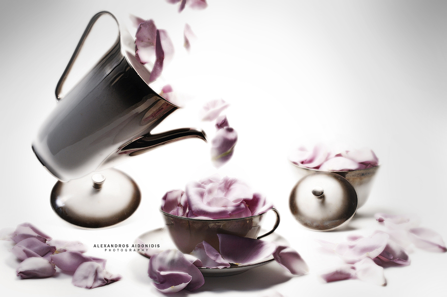 Petal Tea Time II