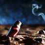 .: Love Potion :.