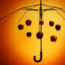 Umbrella skeleton with apples