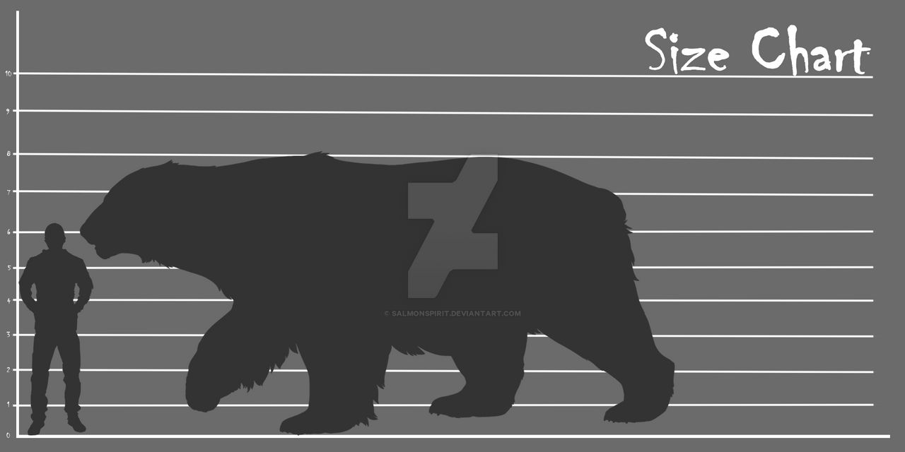 Deviantart Dimensions Size Chart by SalmonSpirit on DeviantArt