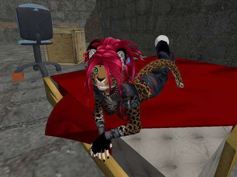 Second Life me kitty