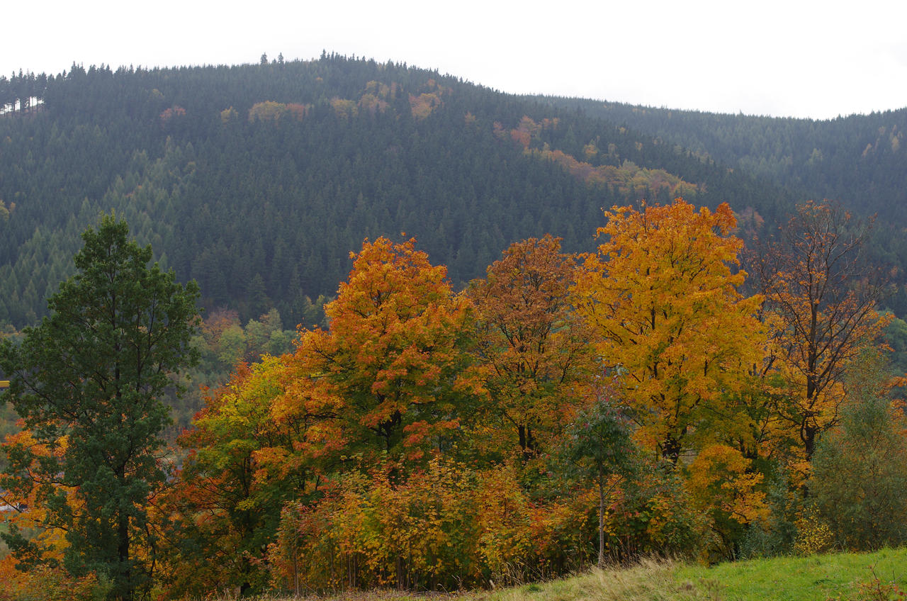 Autumn in Rudawy Janowickie