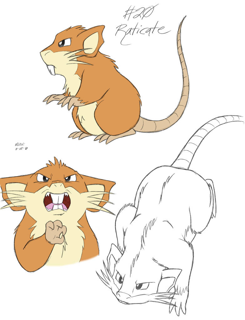 Raticate by tymime