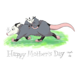 Mother's Day Opossum