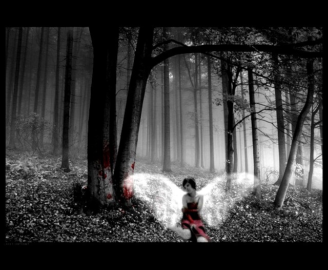 wings