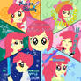 Many Apple Bloom