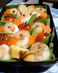 spring sushi picnic bento