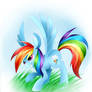 [MLP] Rainbow Dash