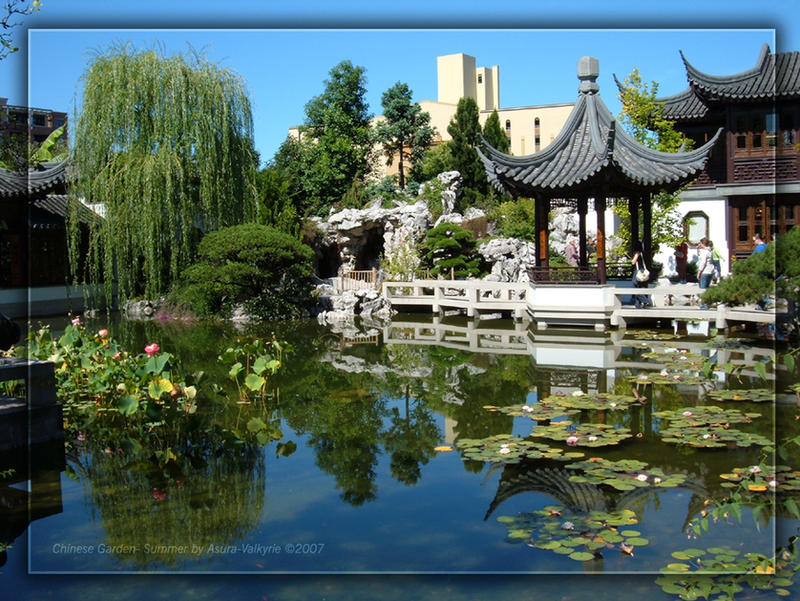 Chinese Garden- Summer