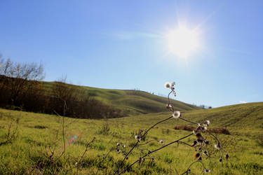 Crete Senesi 3