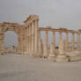 Palmyra 2