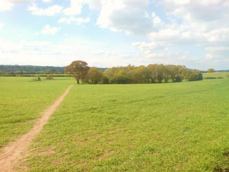 Catshill Fields