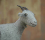 goat by vriad-lee