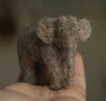 small elephant