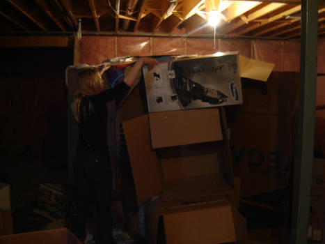 The greatest box fort ever