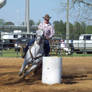 Barrel Racing Stock VIII