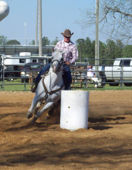 Barrel Racing Stock VIII