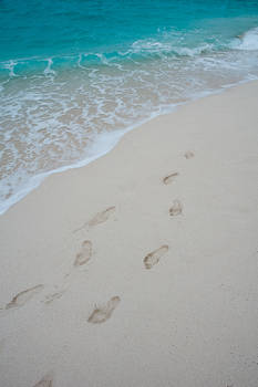 Bahamian Footprints