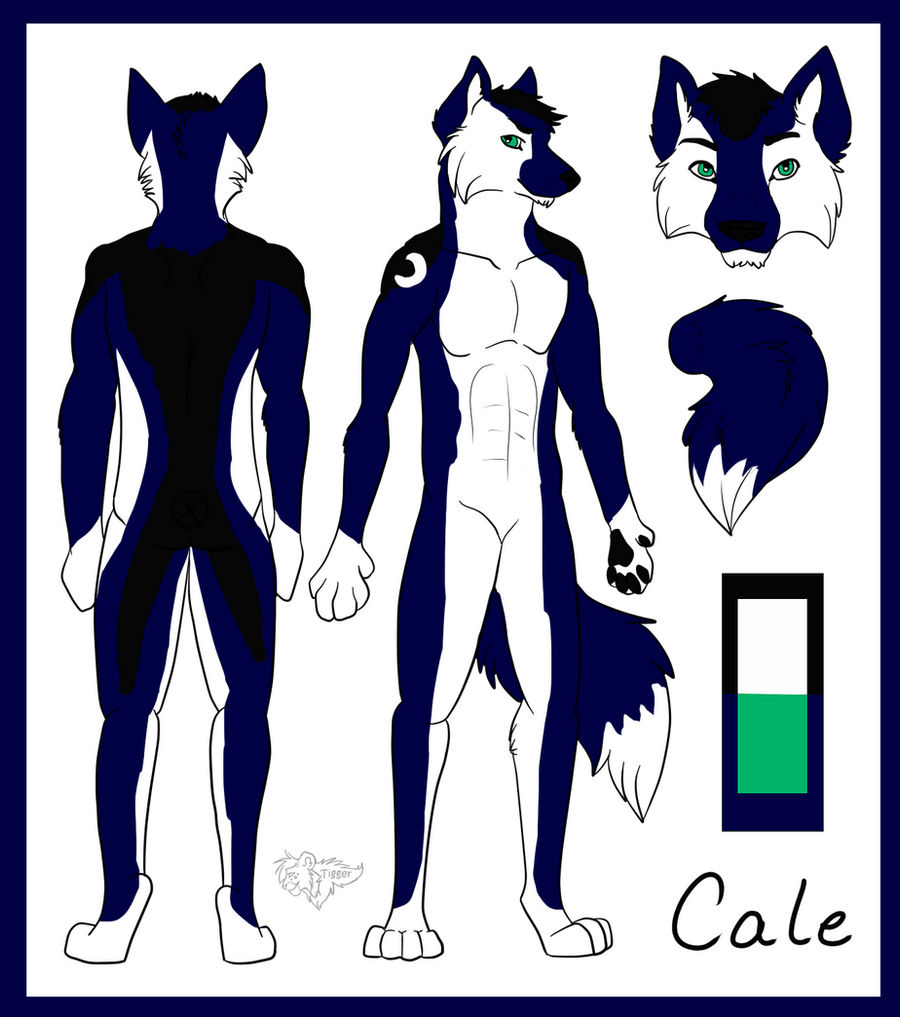 Ao4 Reference First Reference Sheet by alonelywolf44 on DeviantArt