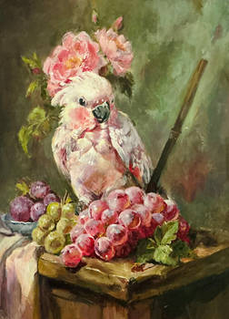 birb study