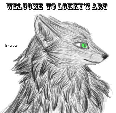 Drake ID by Lokky-devil-wolf on DeviantArt