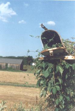 Death of a Mailbox