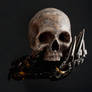 Glove of Sauron and skull 1a