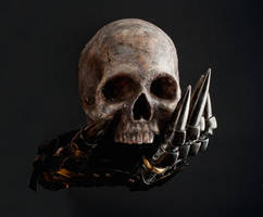 Glove of Sauron and skull 1a