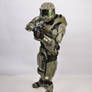 CCE Master Chief 2a