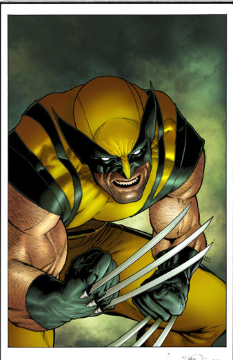 Wolvesvi Wolvie by JUANCAQUE on DeviantArt