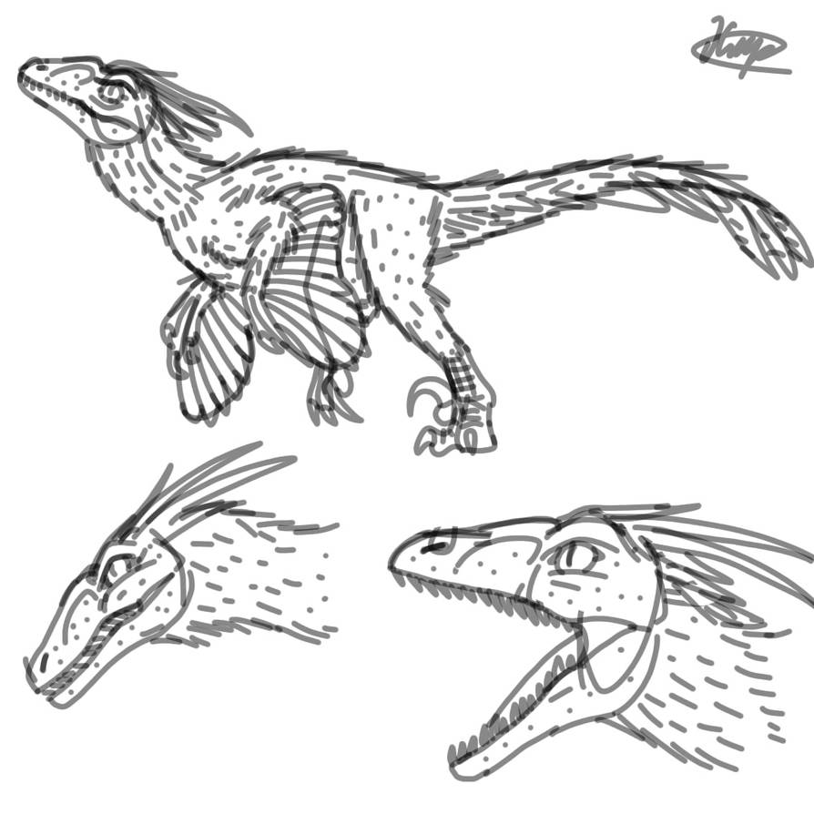 The sketch of pyroraptor (JWD) by Hodjiraptor on DeviantArt