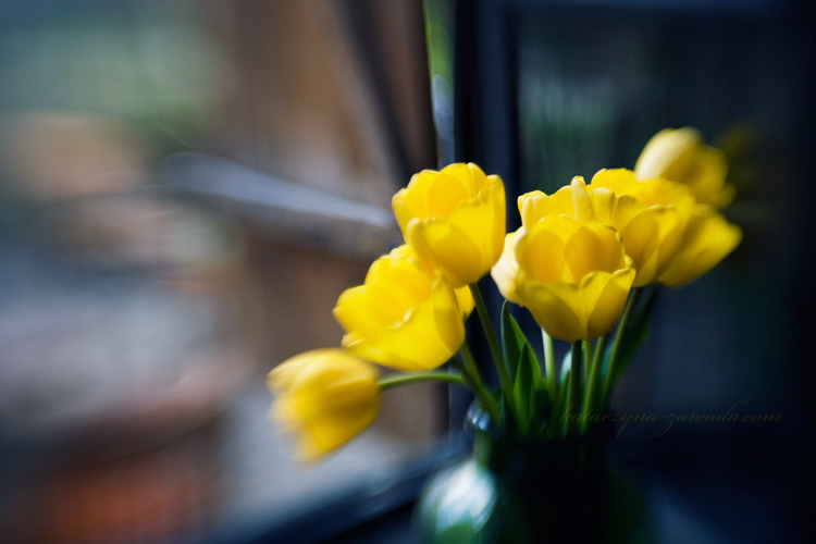 .:yellow-spring:.