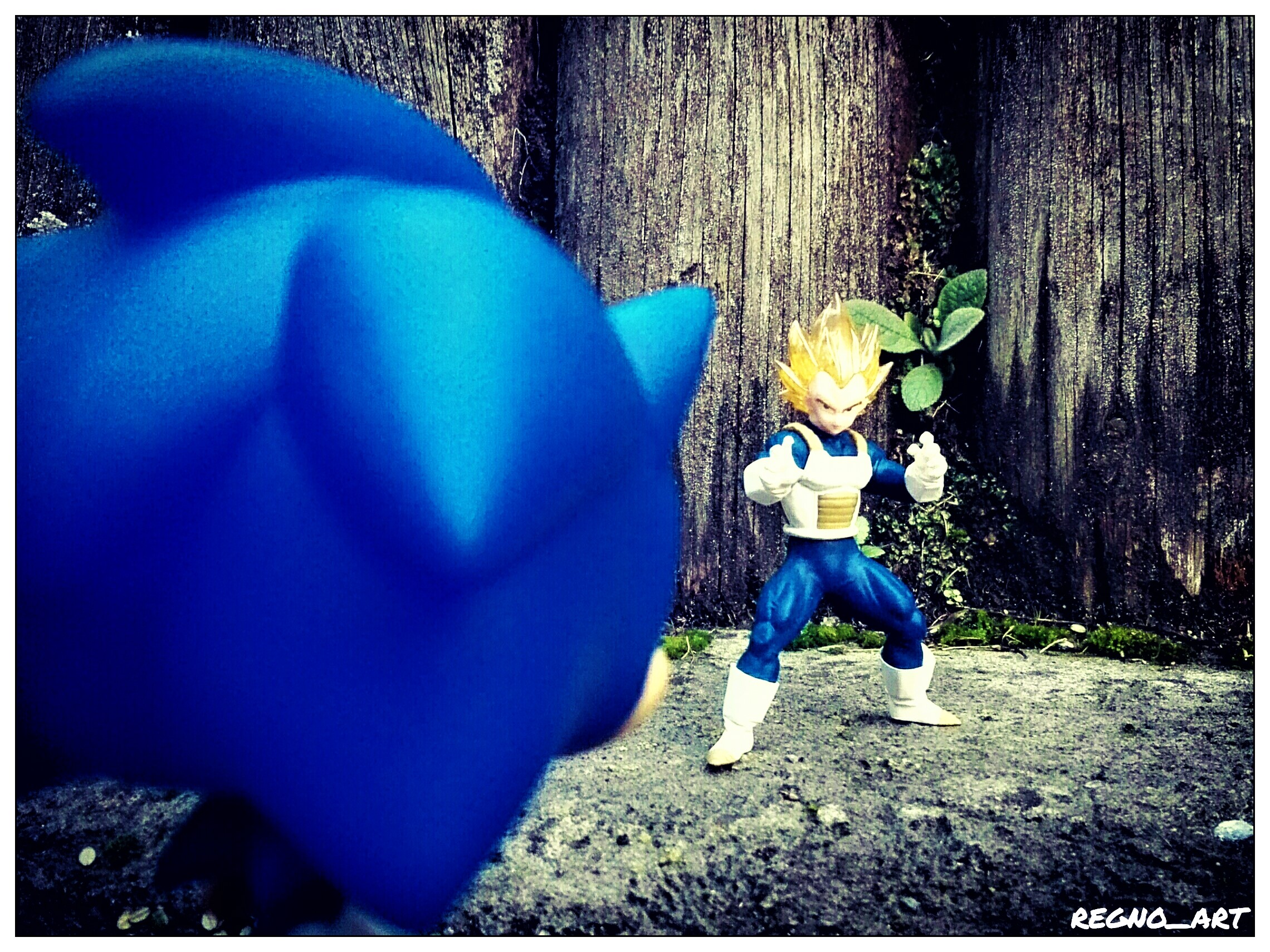 Sonic and Vegeta