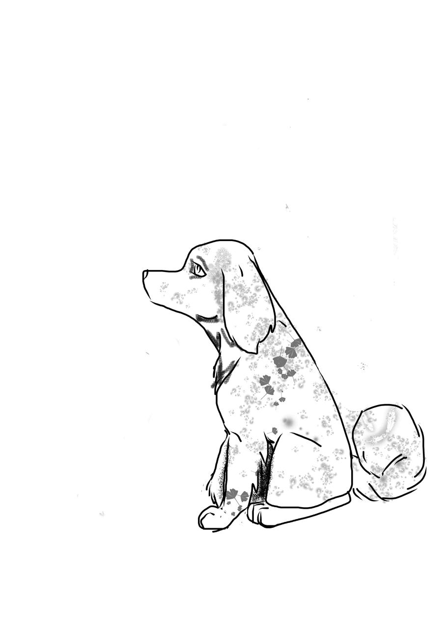 Dog doodle by MayaMystery on DeviantArt