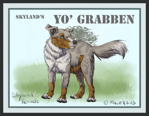 Skyland's Yo' Grabben