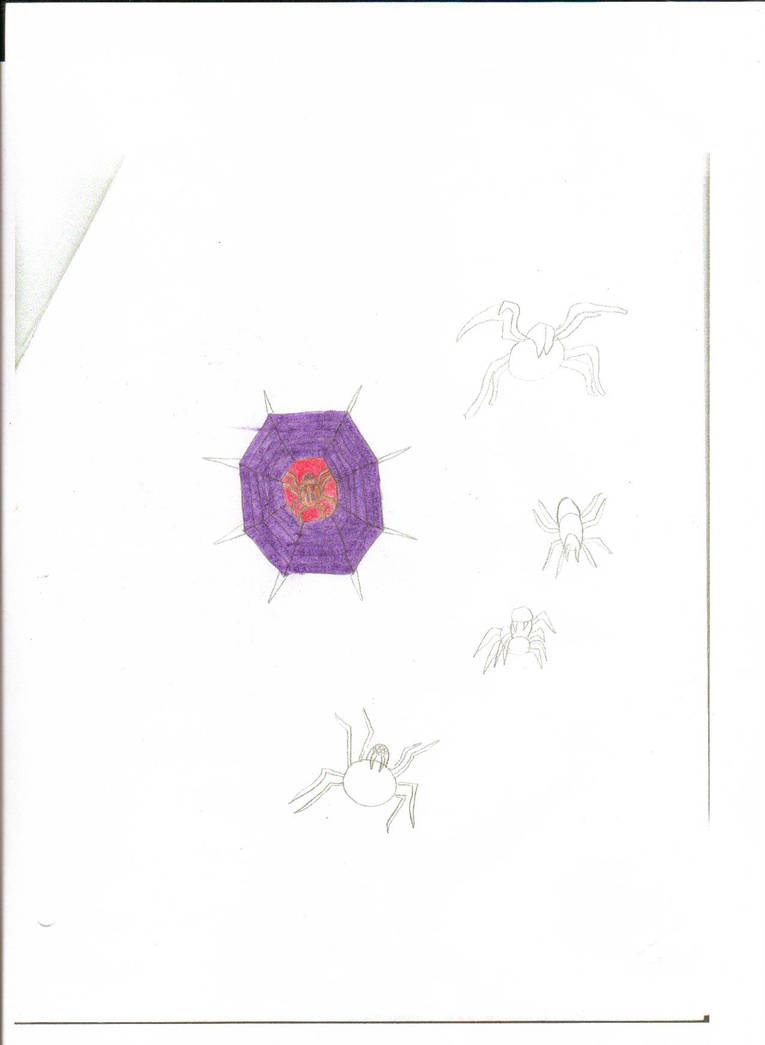 Spider Shield by WildCatSaborFang on DeviantArt