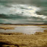 Water, Grass and Sky