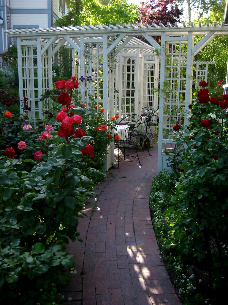 Patio Rose Garden by theblackgate on DeviantArt