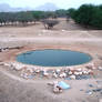 Water Desert, Oasis Rock