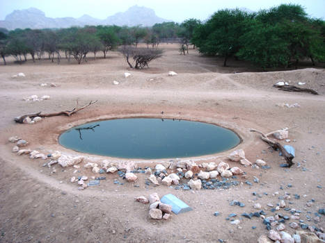 Water Desert, Oasis Rock