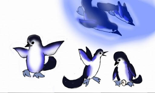 Bluebelly Peinga (Noctora Catalogue)