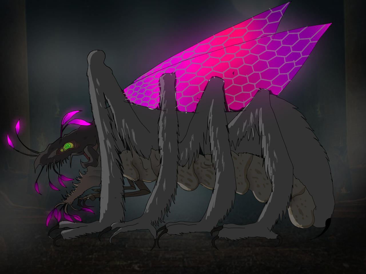 Shinchu