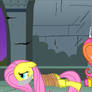 MLP Mares in Distress