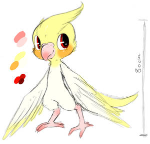 Little Bird Doodle