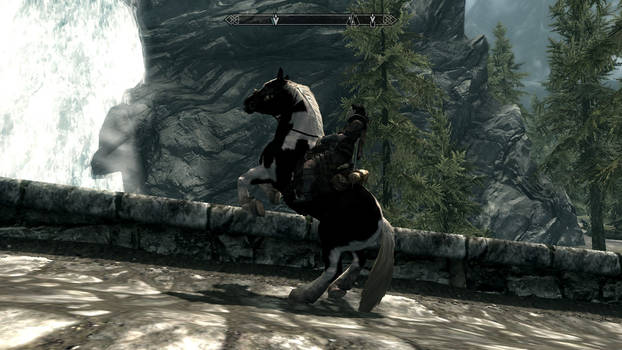 Skyrim