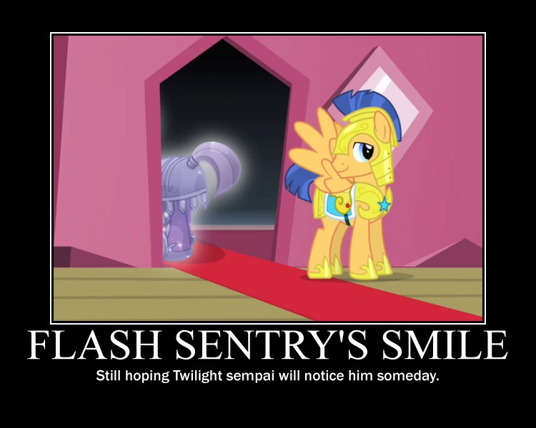 Flash Sentry Demotivational